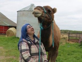 Simon the camel