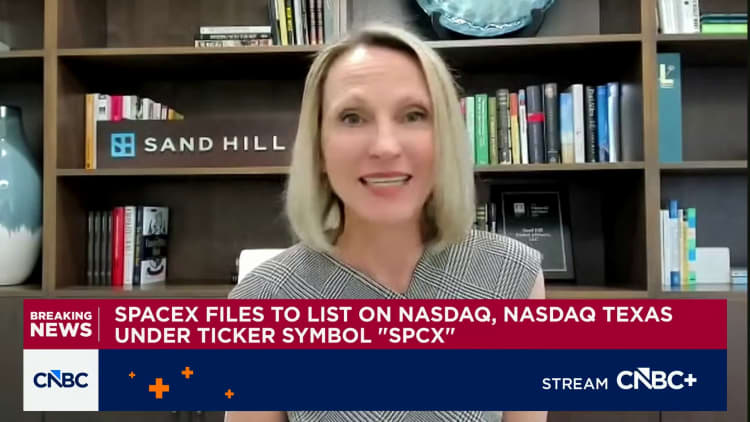 SpaceX IPO gives more insight into public AI-related companies, says Sand Hill's Vingiello