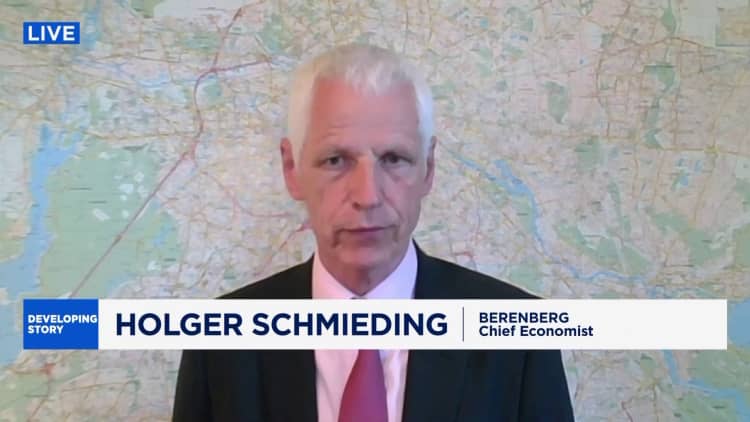 Berenberg's chief economist says ECB rate hikes would 'add to economic misery'