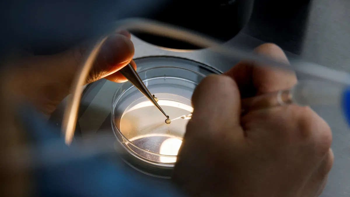 Why are so many babies born by IVF in Jersey?