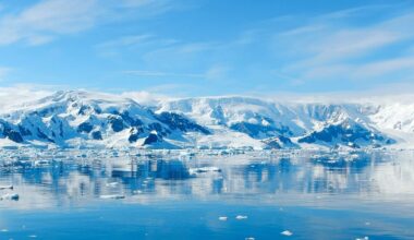 ‘Triple whammy of climate chaos’: Why Antarctica's sea ice collapse is no longer a mystery
