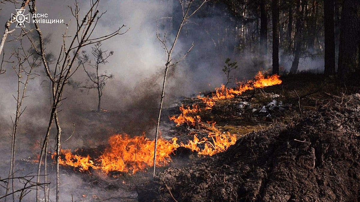Large forest fire burning in Chernobyl exclusion zone after drone crash, Kyiv says