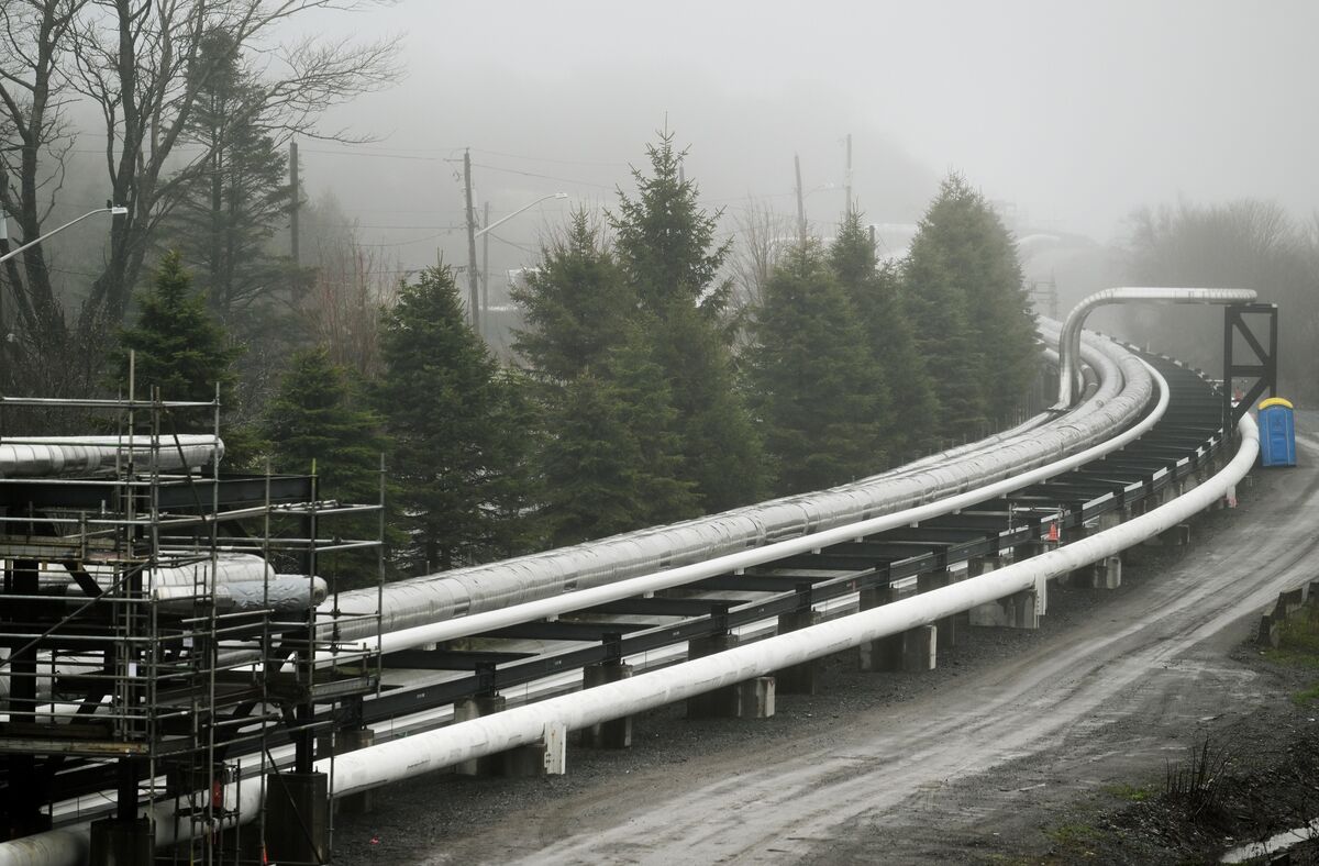 Trump OKs US Oil-Pipeline Plan That Rivals Canadian Project Backed by Carney