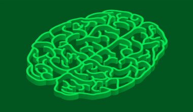Illustration of a brain shaped maze.