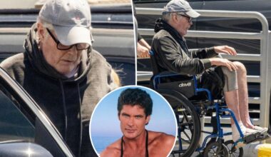 David Hasselhoff sparks concern as he's seen in wheelchair