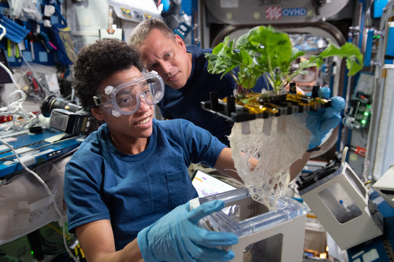 Astronauts working together in close proximity and for extended duration causes stress levels to increase. A team of researchers have modelled what this might look like in a lunar base. Image shows Jessica Watkins and Bob Hines working on XROOTS, an experiment using the Veggie facility of the ISS (Credit : NASA)