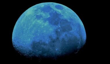 Anthony Taylor, Surrey. Anothony says: "This was one of my first half decent pictures taken of the Moon. I thought i would try a blue filter just to see if it would make any real difference, and i think it made the lunar oceans stand out." Equipment: Nikon D1000 DSLR camera, Celestron NexStar 4SE computerised telescope