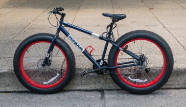 Amsterdam Moves to Rein In “Fatbikes” With Park Ban ━ The European Conservative