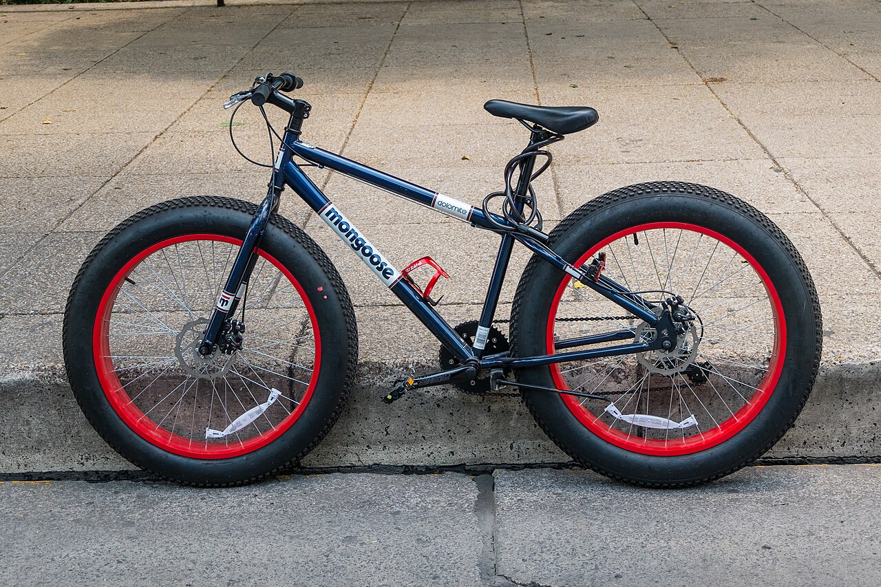 Amsterdam Moves to Rein In “Fatbikes” With Park Ban ━ The European Conservative