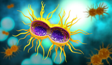 DoxyPEP Effectiveness Against Gonorrhea Is Declining