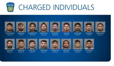 17 Punjabi-origin youths arrested in Canada in violent extortion ring — The Indian Panorama
