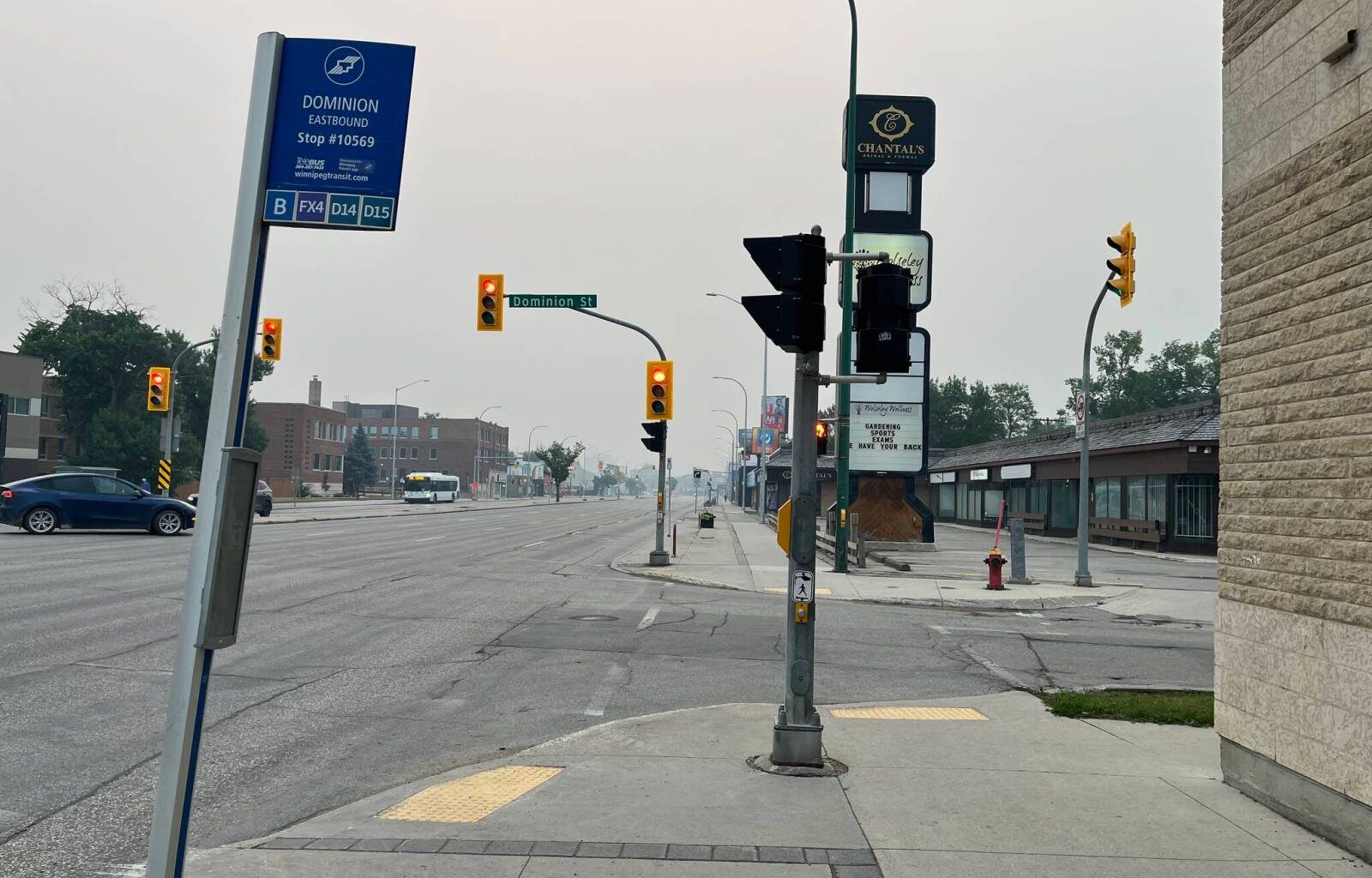 Where are cities in Carney’s nature strategy? – Winnipeg Free Press
