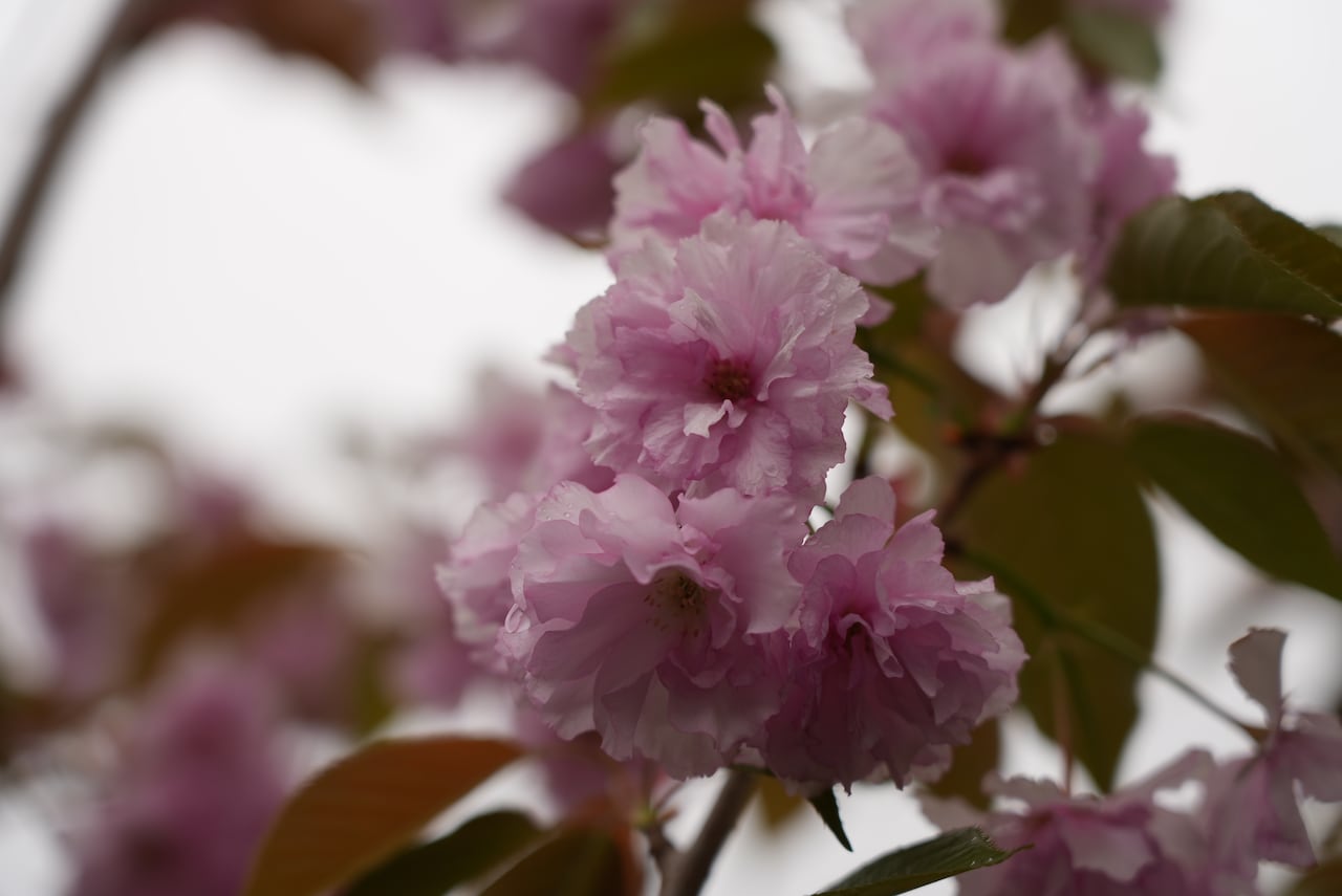 Submit your best photo by May 15.