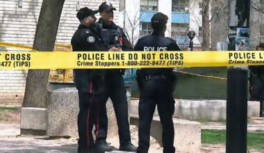 Stabbing suspect dead after being involved in accident while fleeing scene: Toronto police