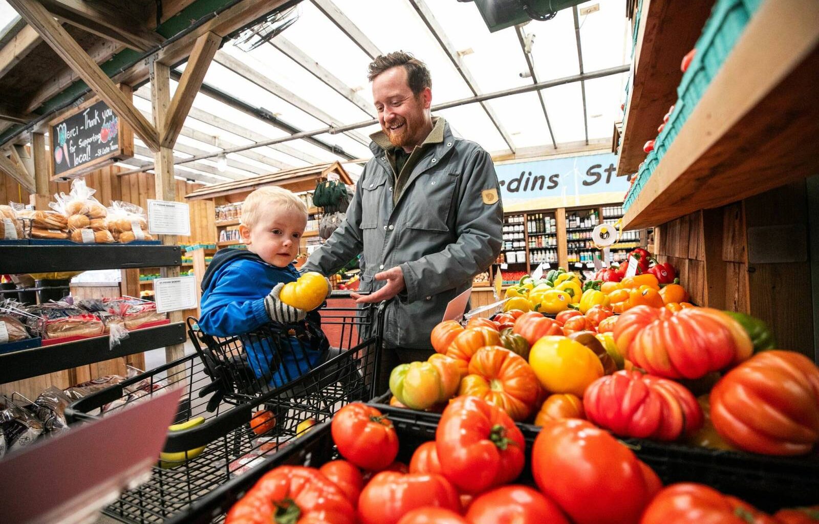 Growing intensity – Winnipeg Free Press
