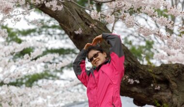 IN PHOTOS | Under High Park's blossoming cherry trees