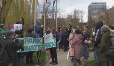 Bathurst Quay residents, politician gather at Little Norway Park to oppose Billy Bishop airport expansion