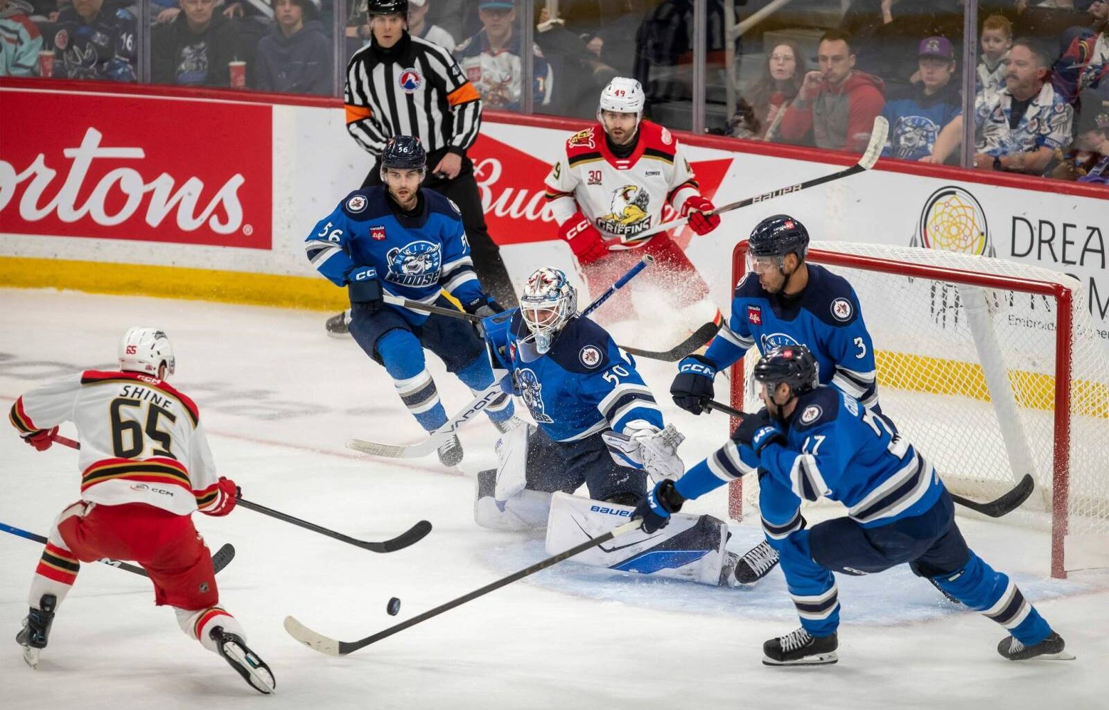 Moose D stand tall – Winnipeg Free Press