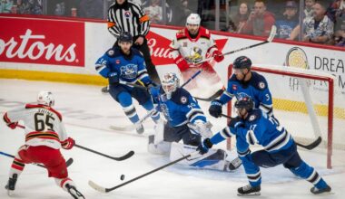 Moose D stand tall – Winnipeg Free Press