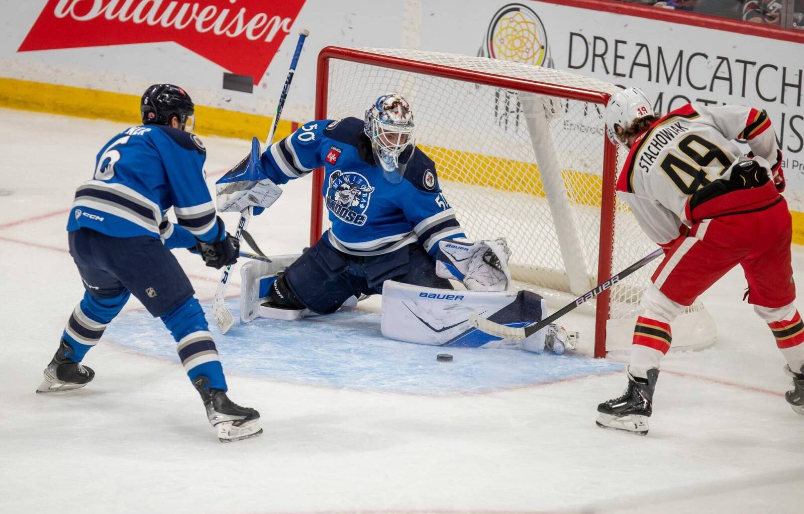 Dom-ination in the crease – Winnipeg Free Press