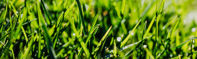 what to expect this season – East Surrey News – Leatherhead Living