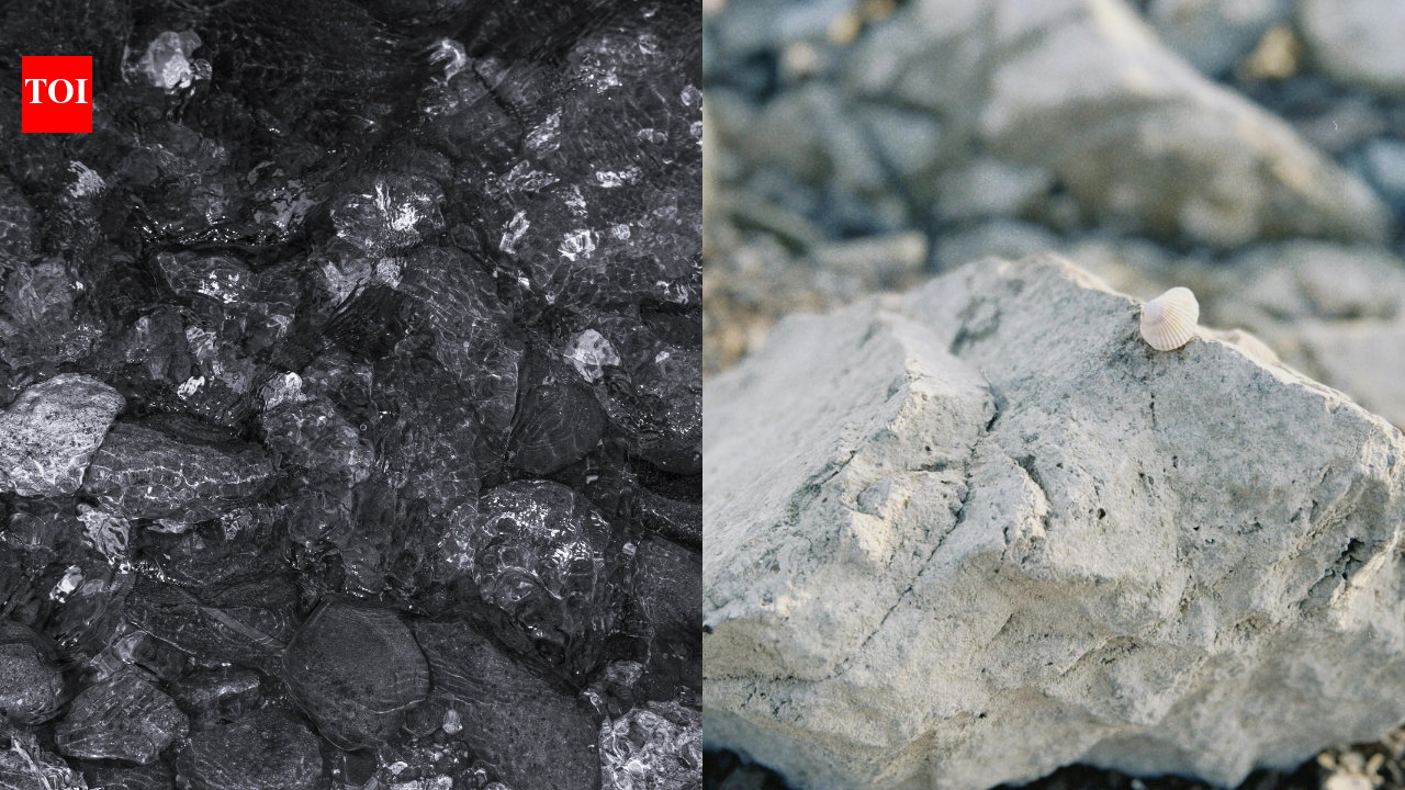 Earth’s origin mystery cracked? Meteorites may hold the secret to life’s ingredients |