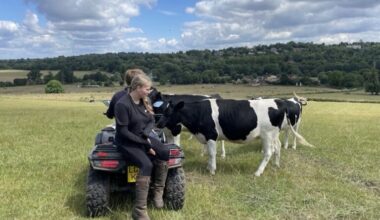 Farm for Health supports 175 young people – East Surrey News – Leatherhead Living