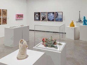 Aganetha Dyck, Diana Thorneycroft, and Reva Stone's Together Apart | Under One Roof exhibition at JNAAG.