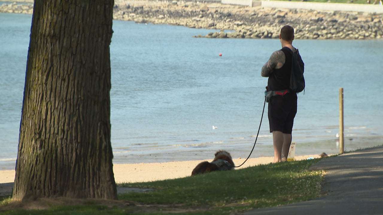 A person with a dog is seen in the shade near a beach.