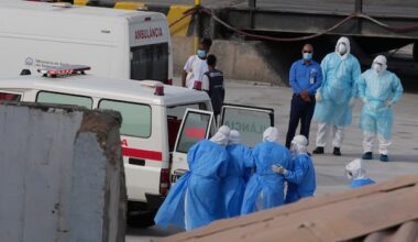 WHO confirms Andes strain of hantavirus in cruise ship passengers