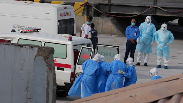 WHO confirms Andes strain of hantavirus in cruise ship passengers