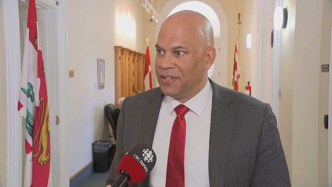 A man in a grey suit and red tie talks to reporters outside the legislative chamber.