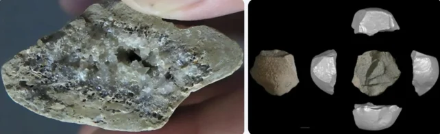 Human Ancient Tools