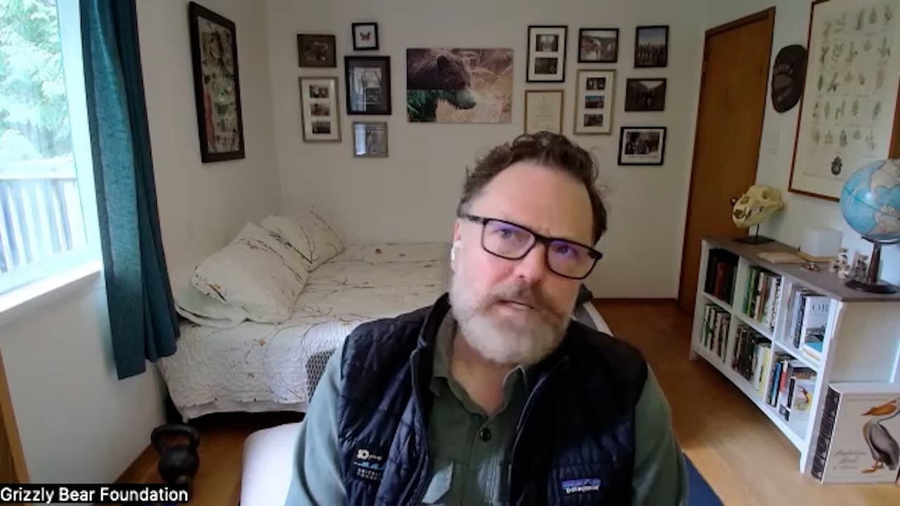 Nick Scapillati is the executive director of the Grizzly Bear Foundation and says that education is key as he believes grizzly bears may become more common on Vancouver Island.