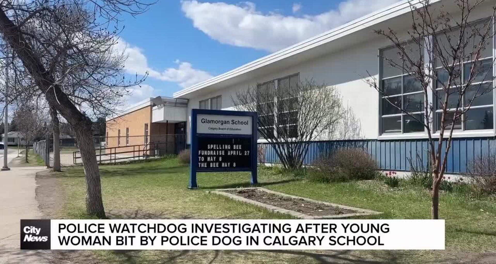 Police watchdog investigating after young woman bit by police dog in Calgary school
