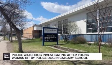 Police watchdog investigating after young woman bit by police dog in Calgary school