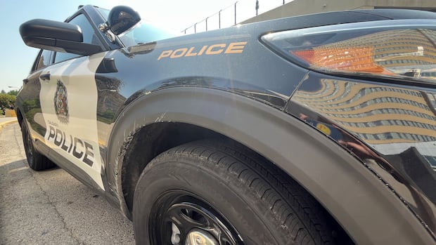 ASIRT investigating after Calgary police dog bites teen