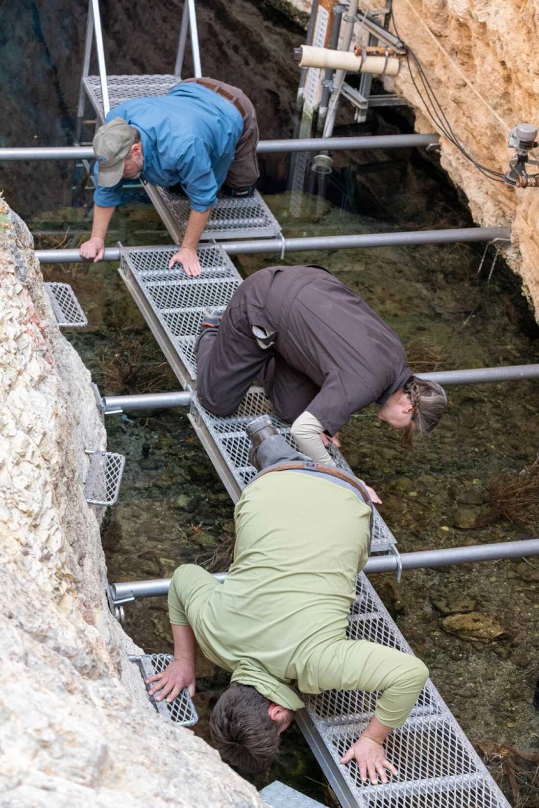 U.S. Fish and Wildlife Service biologists Michael Schwemm (top) and Jenny Gumm (middle), with National Park Service biologist Jackson Glomb survey pupfish topside, while divers search below.