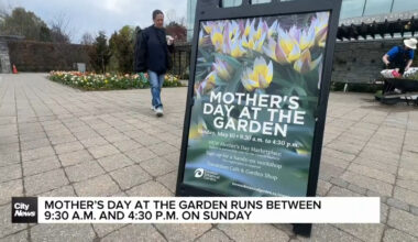 Celebrating Mother's Day 2026 in Toronto