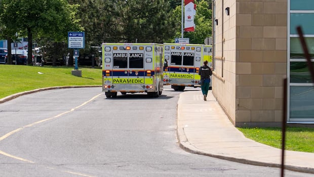 Toddler rescued from Ottawa River, taken to hospital in critical condition: firefighters