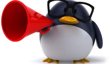 Critical New Linux Zero-Day Goes Public—What Admins Need To Do Now