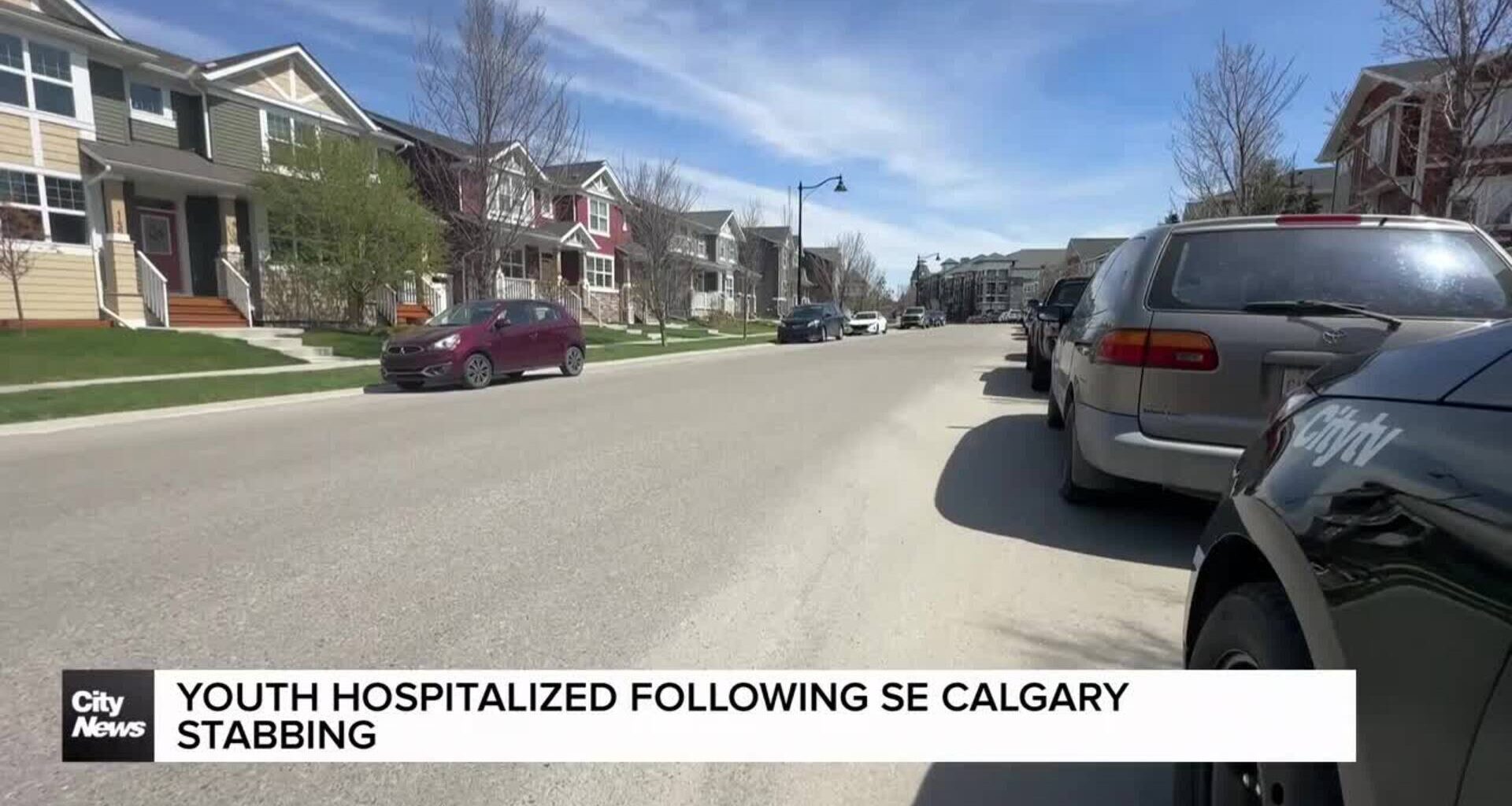 Youth hospitalized following SE Calgary stabbing