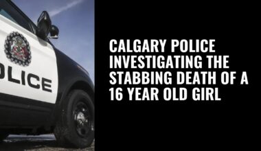 Calgary police investigating the stabbing death of a 16 year old girl