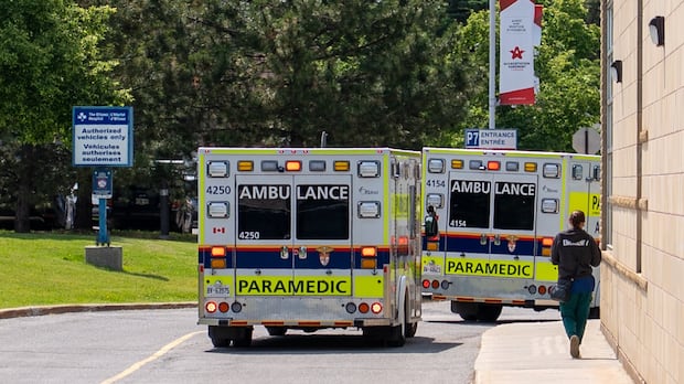 Toddler dies after pulled from Ottawa River