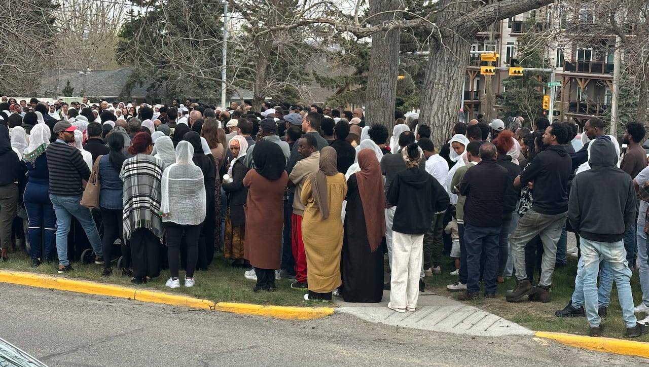 A large crowd gathered on a grassy spot