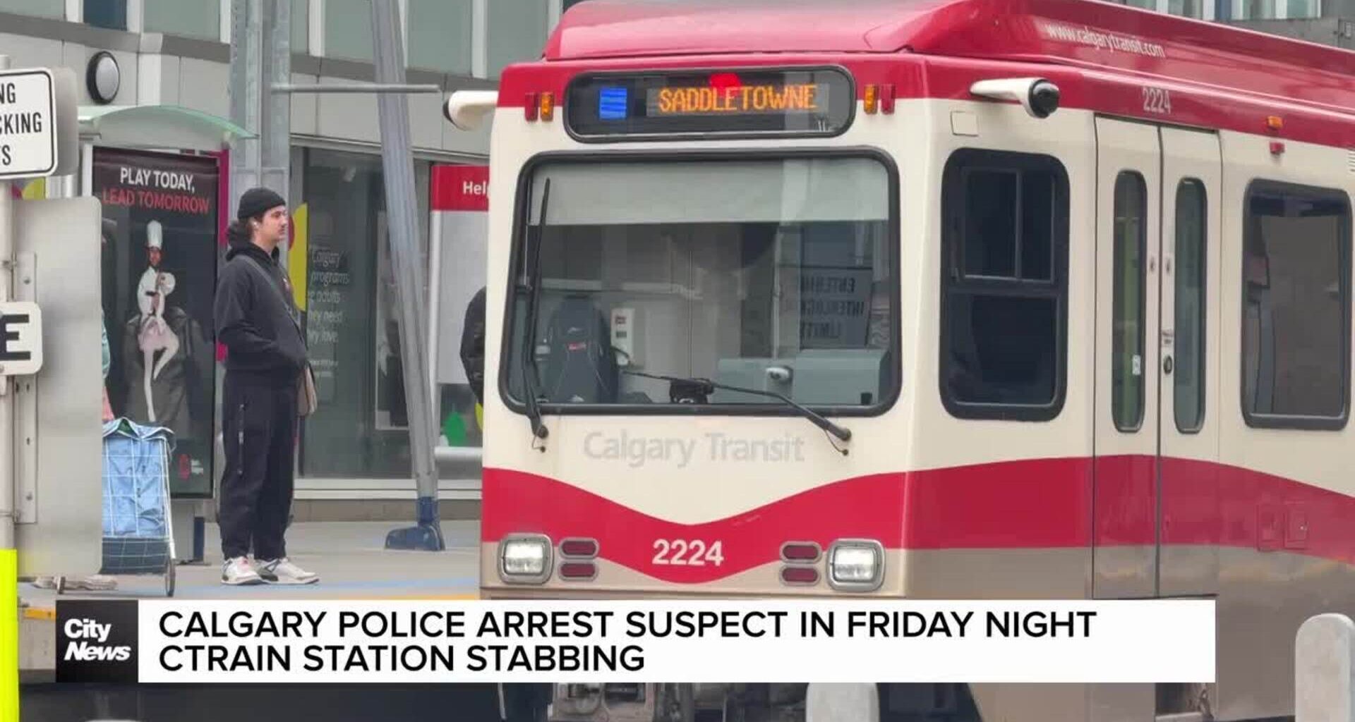 Calgary police arrest suspect in Friday night CTrain stabbing