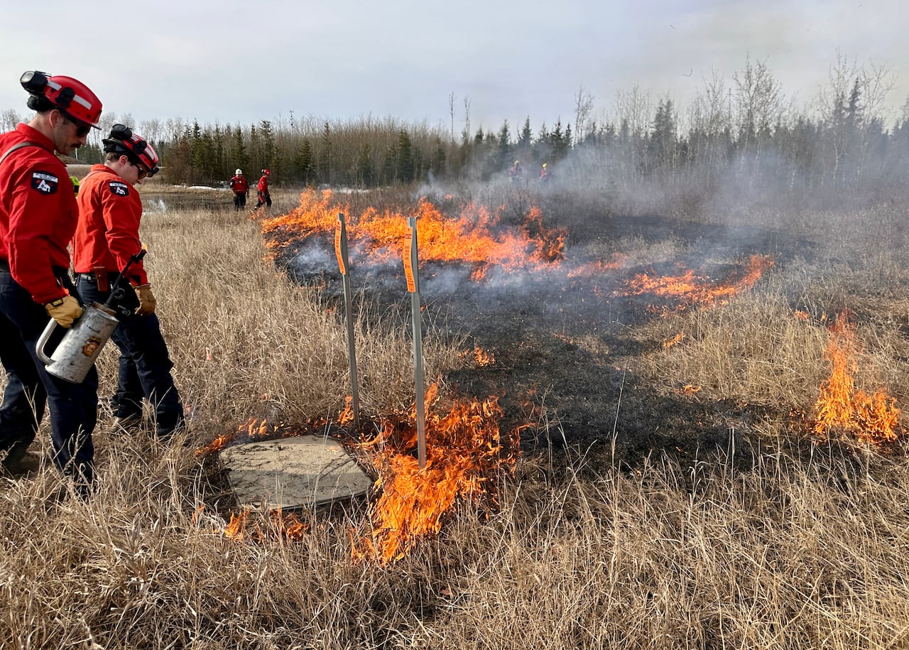 Two firefighters dressed in red shirts and pants stand watch orange flames burn up brown grass in a controlled way.