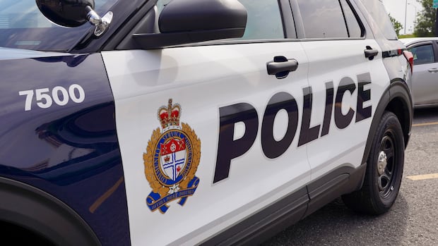 Ottawa police recover body from water near Petrie Island