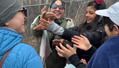 Garter snakes emerge late from Narcisse dens after cool Manitoba spring