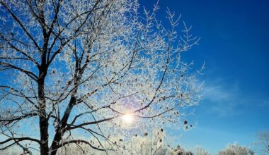 Yellow frost advisory issued for eastern Ontario, western Quebec